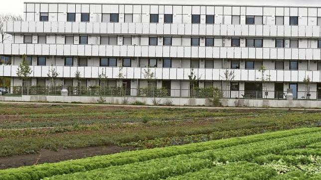 Am Rande der Gärtnerflächen in Bamberg-Nord steht das neu gebaute Wohnheim der Baugenossenschaft. Dort sehen sich nicht studierende Mieter überraschend mit einer Kündigung konfrontiert.  Foto: Ronald Rinklef