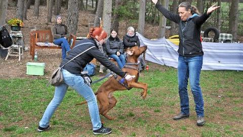 So temperamentvoll wie die Hunde geht Hundetrainerin Sonja Meiburg (rechts) mit ihnen um, aber immer gewaltfrei. Im Bild ist auch Lisa Stengel mit ihrem Rhodesian-Ridgeback zu sehen.  Foto: Simon Albrecht
