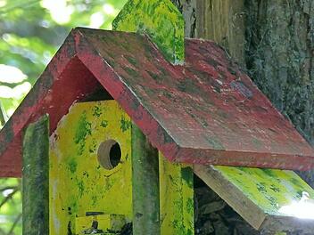 Insgesamt zehn Vogelhäuser, im Bild das Modell "Kirche", säumen den Vogelhaus-Pfad in Richtung der Stettfelder Mühlbachquelle.  Foto: Christian Ziegler