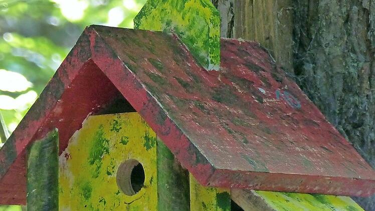 Insgesamt zehn Vogelhäuser, im Bild das Modell "Kirche", säumen den Vogelhaus-Pfad in Richtung der Stettfelder Mühlbachquelle.  Foto: Christian Ziegler