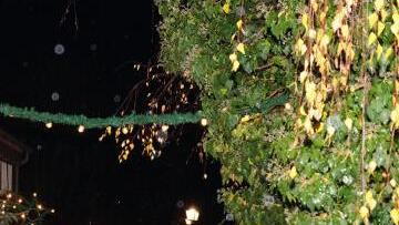 In Hallstadt Foto: Joseph Beck