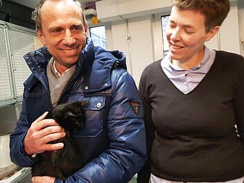 Freude an Katzen: Umweltminister Thorsten Glauber und Karin Adelmann, die Zweite Vorsitzende des Tierschutzvereins.  Foto: Ekkehard Roepert