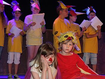 Wenn kleine Vögel müde werden, schlafen sie natürlich bei der Mama. Die dritte und vierte Klasse der Grundschule Marktleugast präsentierte bei den Schultheatertagen ein wunderschönes Musical. Kostüme, Gesangseinlagen und die Inszenierung dieses bunten Stückes konnten sich sehen lassen. Foto: Sonny Adam