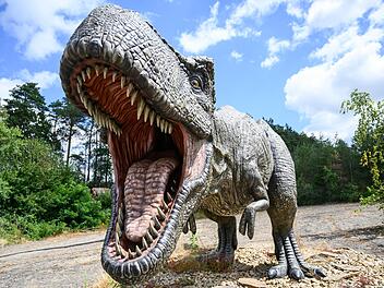 Welche Geräusche ein Tyrannosaurus rex gemacht hat, das wissen die Forscher nicht endgültig. Der Raubsaurier hat auf der Jagd aber nicht gebrüllt, wie es in Filmen wie Jurassic Park gezeigt wird.