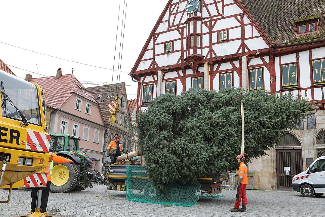 Christbaum kommt aus Schlaifhausen  auf den Forchheimer Rathausplatz