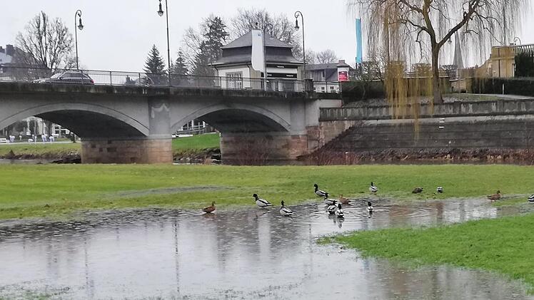 Nicht nur die Enten holen sich im Luitpoldpark schon nasse Füße.