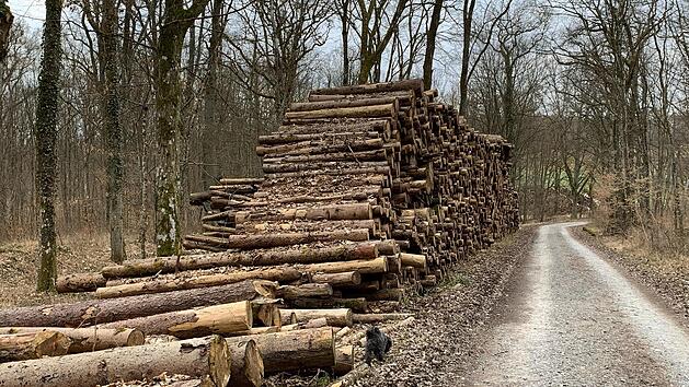 Diverse Polizeistellen  warnen beim Holzkauf vor Fakeshops im Internet. Eine Alternative zum Onlinekauf kann der Holzkauf bei der Gemeinde sein.  Foto: Kerstin V&auml;th