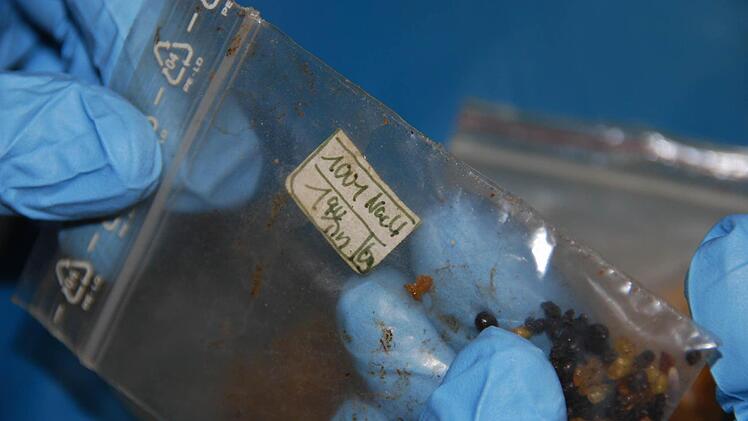 Im Altlandkreis Bad Brückenau werden überwiegend Kleinstmengen gehandelt. Foto: Polizei