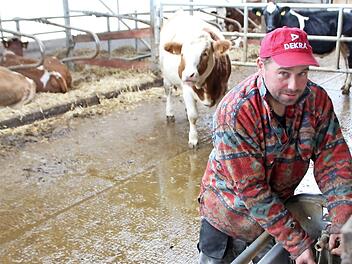 Landwirt Thomas Grau aus Großneuses hat schon Kreuze aufgestellt (oben).  Fotos: Andreas Dorsch