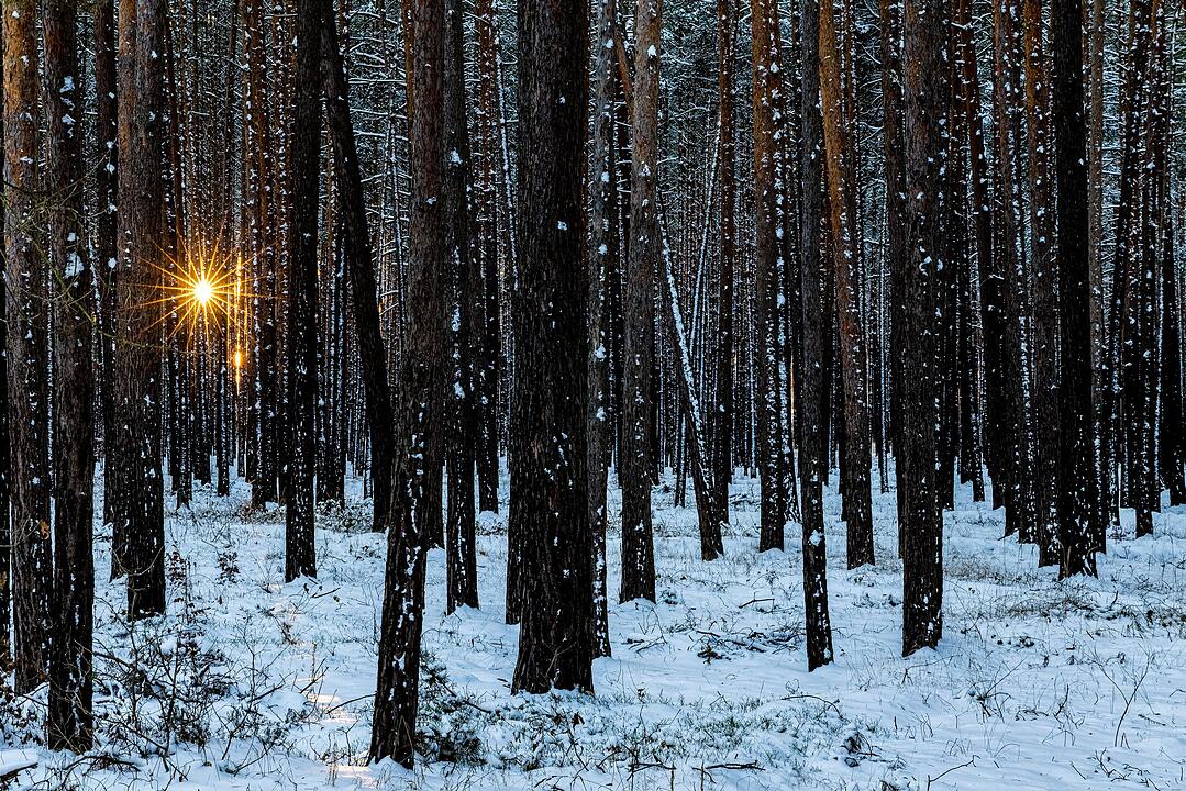 Winterwetter in S&uuml;dbrandenburg