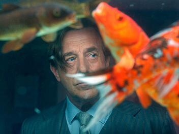 Ein entf&uuml;hrter Koi stellt den Kunstdetektiv Johann Friedrich von Allmen (Heino Ferch) im f&uuml;nften Film der Krimireihe vor ein R&auml;tsel.