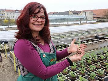 Carmen Dechant baut in ihrer Hofstadt-Gärtnerei den Bamberger Knoblauch an. Foto: Barbara Herbst
