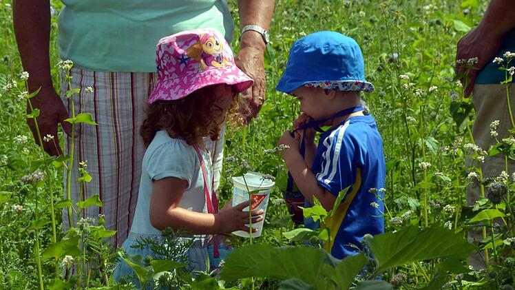 Mit einem Becher gingen die Kinder auf Insektensuche. Foto: Peter Rauch