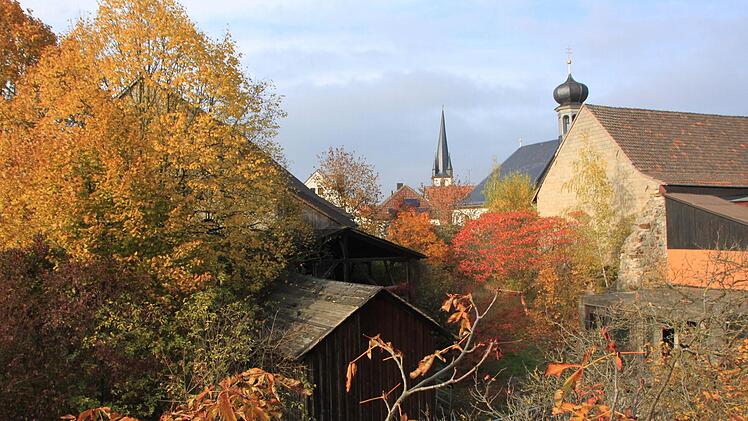 Seit vielen Jahren liegt das Gelände hinter dem ehemaligen Brauereigasthof "Zum Schwarzen Bären" im Staffelsteiner Stadtkern brach. Vom Kreuzberg aus bietet das Areal derzeit diesen Anblick: Alte Zweckbauten und viel Vegetation. Foto: Matthias Einwag
