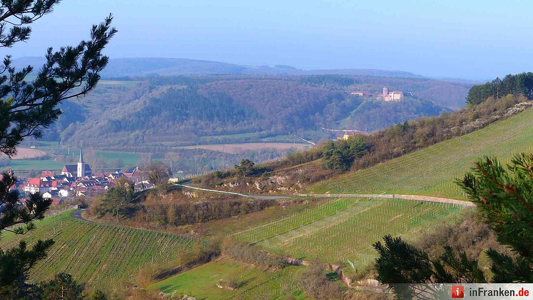 Leserbilder: Sommerliches Franken im März