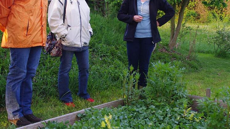 Christina Zehnter hat sich in ihrem Garten mehrere Beete mit den verschiedensten Kräutern angelegt. Foto: Heike Schülein