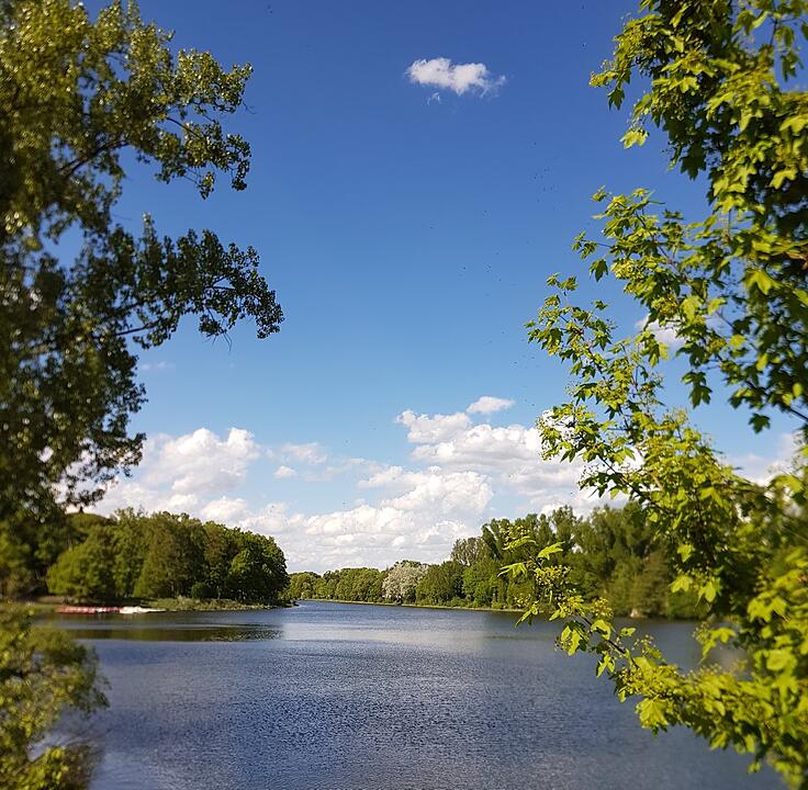 Die schönsten Frühlingsfotos aus Bamberg und Umgebung