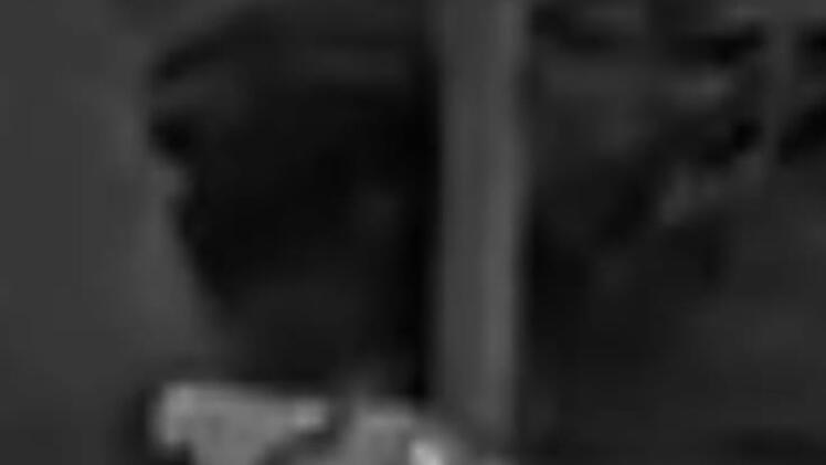 Vermeintliche Großkatze in Kalenborn gesichtet