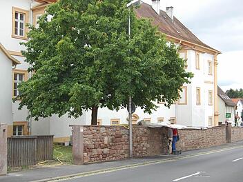 Ausgespült und wahrscheinlich auch ausgepickt (von Tauben) war der Putz der Propsteimauer. Jetzt wird wieder neu vermörtelt.  Foto: G.Straub