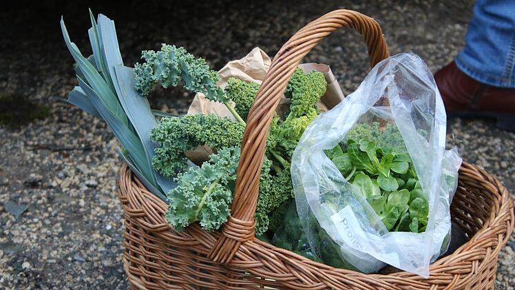 Frisches und saisonales Gem&uuml;se bekommt man als "Solawi-Ernteteiler".Mirjam Stumpf