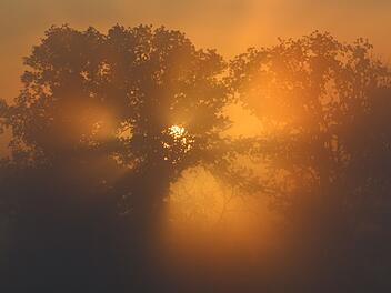 Morgens in Brandenburg