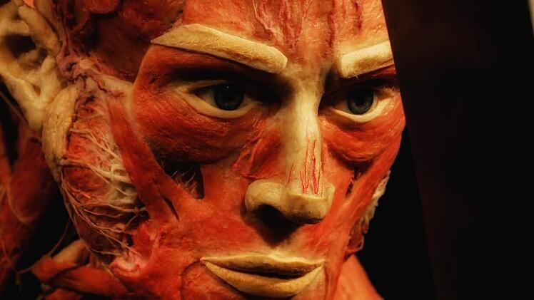 Die Ausstellung "Körperwelten - eine Herzenssache" wird noch bis zum 11. Februar im Quelle-Areal in Nürnberg gezeigt. Foto: Matthias Hoch