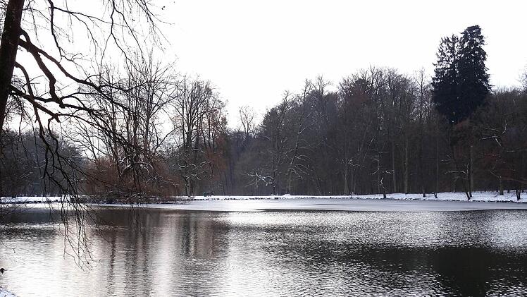 Winterimpressionen: Schwanenensee im Park von Schloss Rosenau.Foto: Jochen Berger