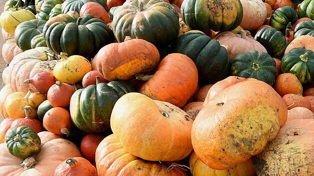 Symbolfoto: Holger Hollemann/dpa