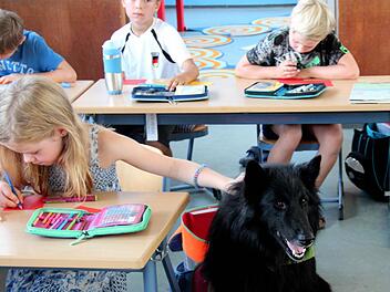 Den Kindern wie Annika hilft Miles' Anwesenheit dabei, sich zu konzentrieren. Foto: Johanna Blum