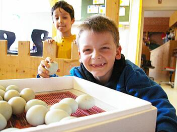 Antonio Paulilo nimmt vorsichtig ein Ei in die Hand. Foto: privat