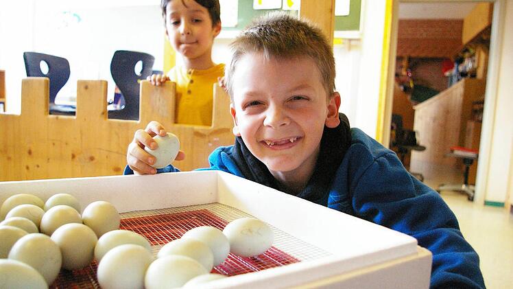 Antonio Paulilo nimmt vorsichtig ein Ei in die Hand. Foto: privat