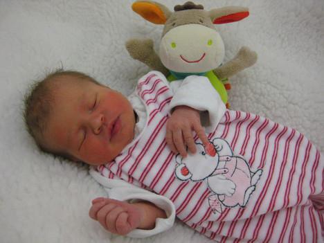 Babygalerie 146