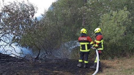 Das Feuer griff auch auf eine Reihe von Büschen und Bäumen über.