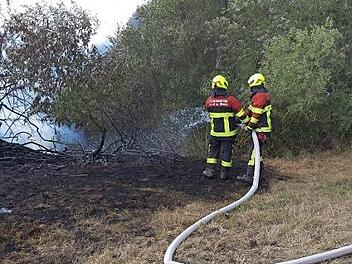 Das Feuer griff auch auf eine Reihe von Büschen und Bäumen über.