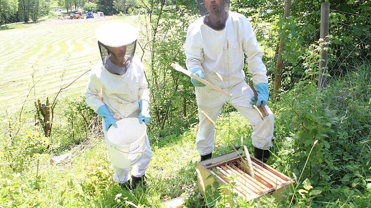 Max und Klaus Ruppert (von links) zeigen die Waben im Bienenkasten.  Foto: Friedwald Schedel