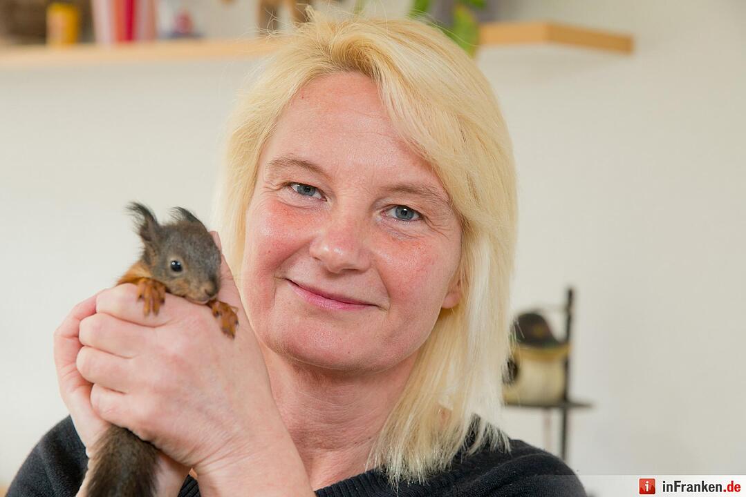 Eichhörnchen-Auffangstation