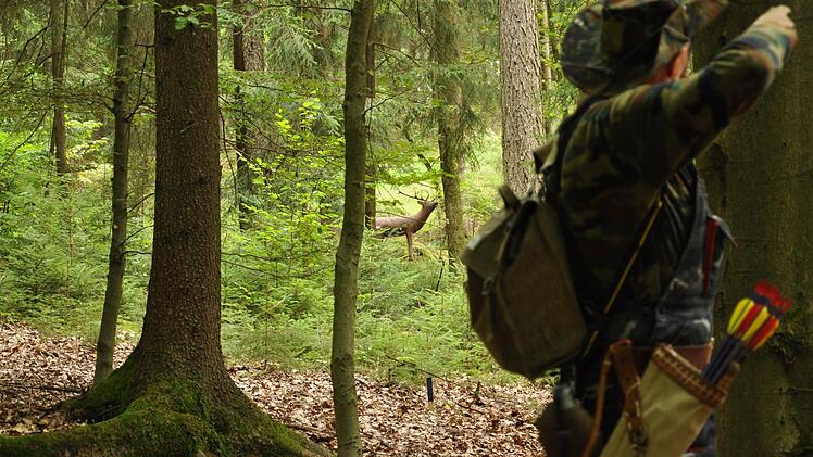 Gut und gerne 40 Meter entfernt steht der Damhirsch im Wald - kein Problem für die "Jäger".