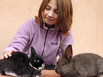 Viele verschiedenen Rassen stellt der Verein am Sonntag vor. Foto: privat