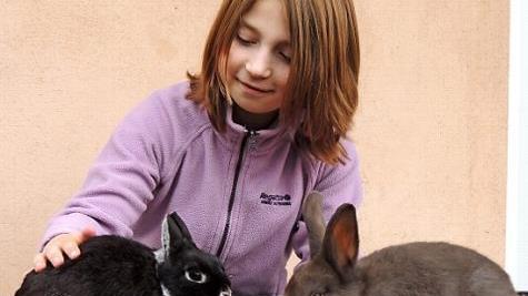 Viele verschiedenen Rassen stellt der Verein am Sonntag vor. Foto: privat