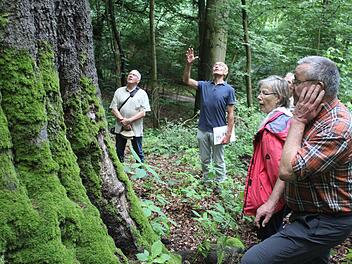 Hermann Hacker gelang es spielend, die Blicke in die Höhe und auf die Natur zu lenken. Fotos: Markus Häggberg
