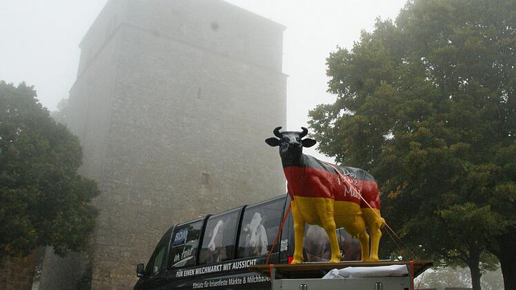 Milchkuh Faironika setzt sich hoch oben auf der Giechburg f&uuml;r einen faire Milchwirtschaft ein.  Joseph Beck