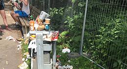 Vorschaubild