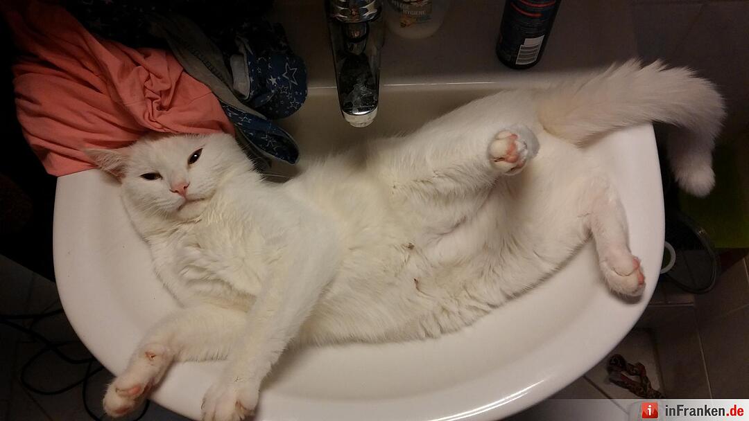 Foto: Katja Paczulla