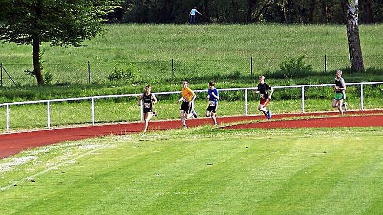 Für die Sanierung des Sportplatzes will die Stadt Baunach viel Geld in die Hand nehmen (Archivbild vom "Bahnmeeting" im April 2014). Foto: Michel
