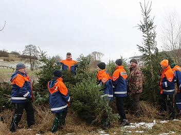 Die Jugendfeuerwehr Itzgrund fährt ihre Bäume nicht auf den Kompostplatz, sondern schließt eine Benjes-Hecke und schafft damit einen Lebensraum für Kleintiere, Vögel, Hasen und Rehe. Jäger und Hegegemeinschaftleiter Uwe Köhler (Fünfter von links) freut sehr über diese Aktion. Foto: Michael Stelzner