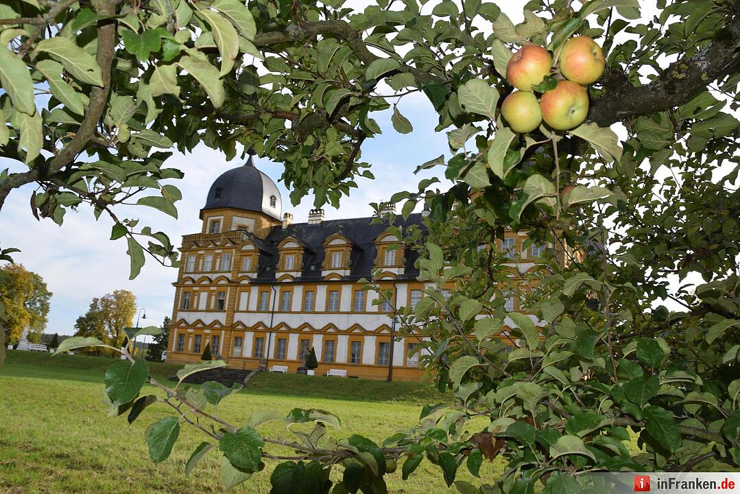 Herbstimpressionen Bamberg