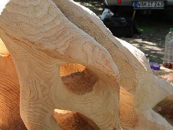 Zehn Bildhauer zeigen im Landkreis derzeit, was sich aus Holz mehr fertigen lässt, als Tische, Stühle oder Schränke. Foto: Mariell Dörrschmidt