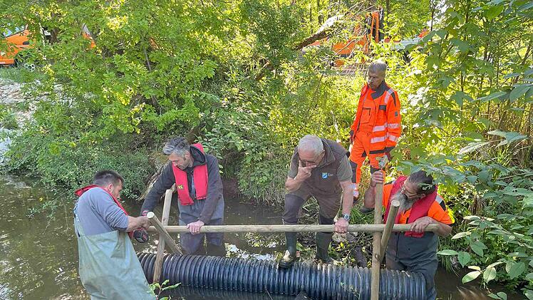 Bamberg: Wegen Biberaktivitäten - Stadt ergreift besondere Maßnahmen