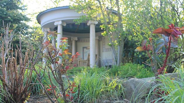 Die Menschen wollen wieder draußen im eigenen Garten Urlaub machen, meint Böhmer. Foto: Dominic Buckreus
