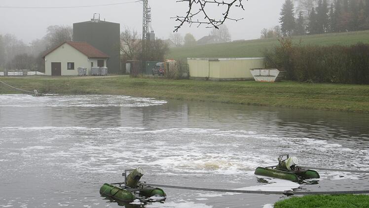 Die Teichkläranlage ist nicht mehr zeitgemäß. Foto: Paul Frömel (Archiv)
